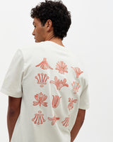 Dean - Ecru And Rust Grid Embroidered T-Shirt